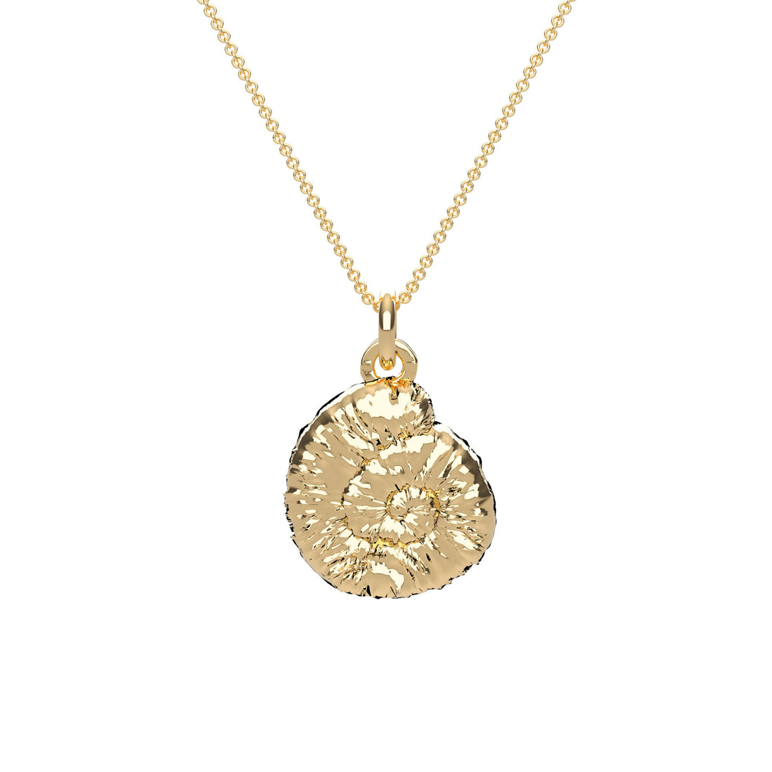 Golden Shell